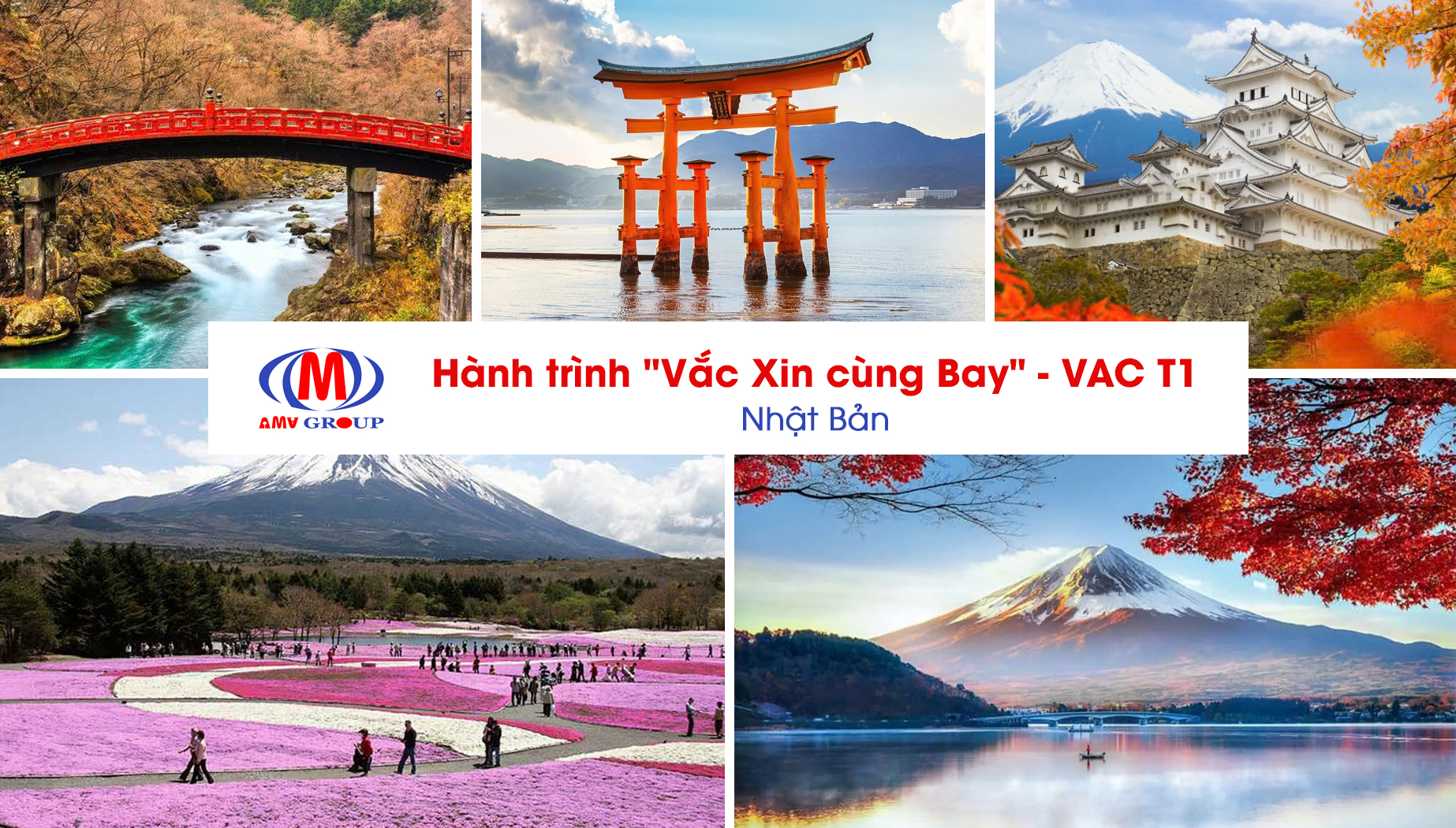 hanh-trinh-vac-xin-t1-cung-bay-